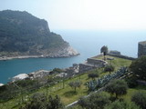 Vedi la foto